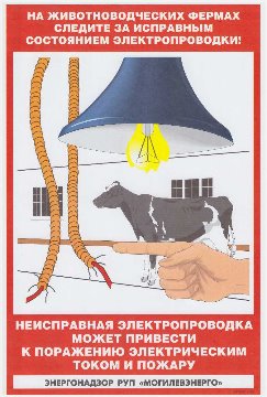 Плакат11 (эл.безопасн. сельхоз)